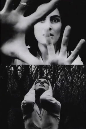 Hands of Purple Distances Hands of Purple Distances