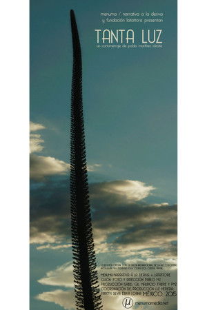 Tanta Luz Tanta Luz