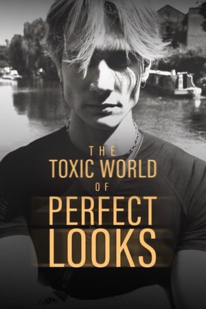 The Toxic World Of Perfect Looks The Toxic World Of Perfect Looks