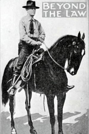 Beyond the Law Beyond the Law