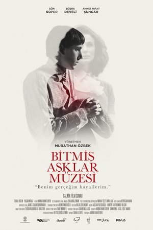 The Museum of Broken Love The Museum of Broken Love