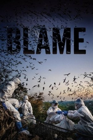 Blame Blame