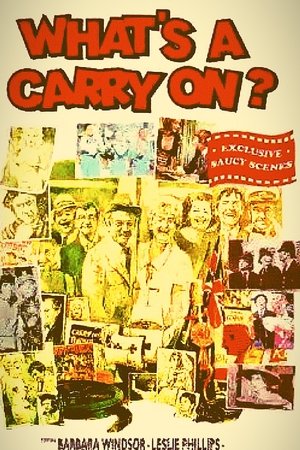 What's a Carry On? What's a Carry On?