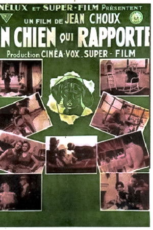 A Dog That Pays Off A Dog That Pays Off