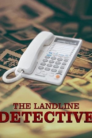 The Landline Detective The Landline Detective