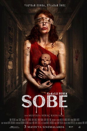 Sobe: Sakallı Bebek Sobe: Sakallı Bebek