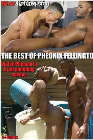 The Best of Pheonix Fellington The Best of Pheonix Fellington