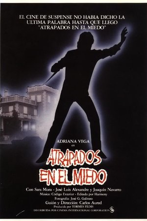 Caught in Fear Caught in Fear