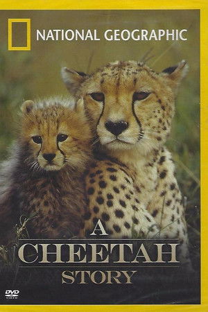 Cheetah Story