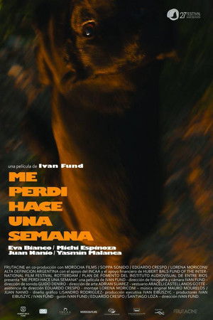 Me perdí hace una semana Me perdí hace una semana