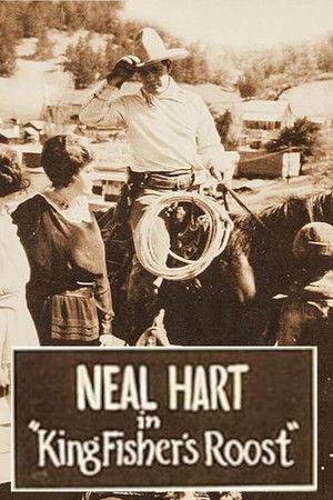 King Fisher's Roost King Fisher's Roost