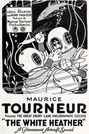 The White Heather The White Heather