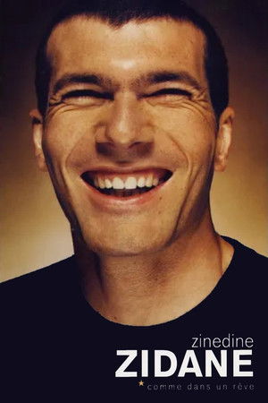 Zinédine Zidane - Comme dans un rêve Zinédine Zidane - Comme dans un rêve