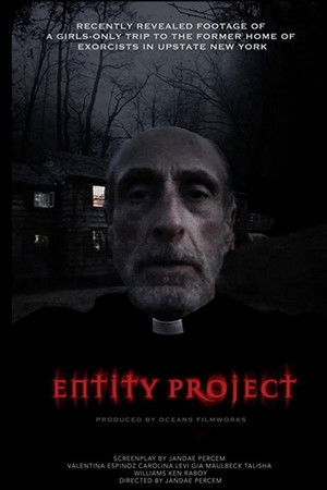 Entity Project Entity Project