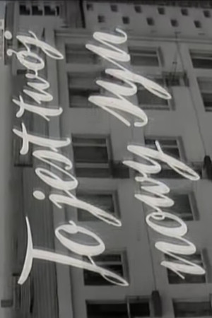 This is Your New Son This is Your New Son