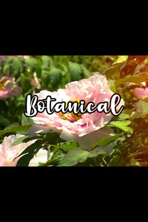Bloom Skateboards Presents Botanical Bloom Skateboards Presents Botanical