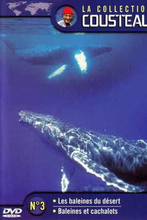 The Cousteau Collection N°3-1 | Desert Whales