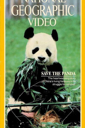 Save the Panda Save the Panda