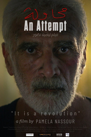 An Attempt An Attempt