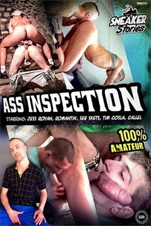 Ass Inspection Ass Inspection