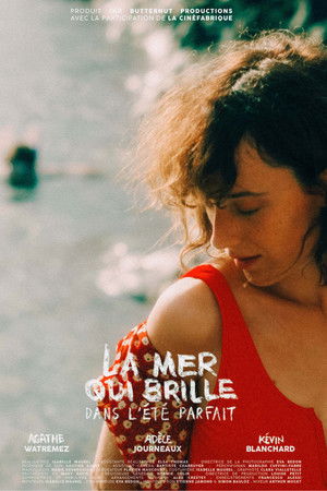 La mer qui brille dans l'été parfait