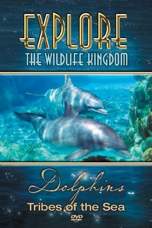 Explore the Wildlife Kingdom: Dolphins - Tribes of the Sea Explore the Wildlife Kingdom: Dolphins - Tribes of the Sea