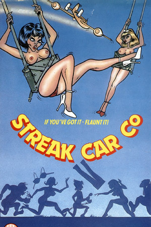 The Streak Car Company The Streak Car Company