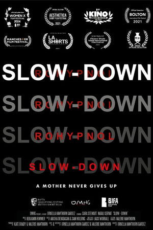 Slow-Down Slow-Down