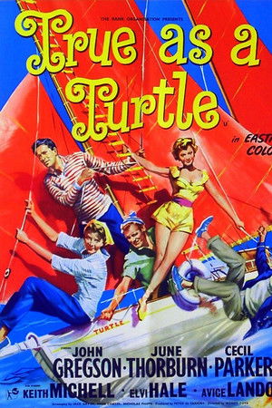 True as a Turtle True as a Turtle