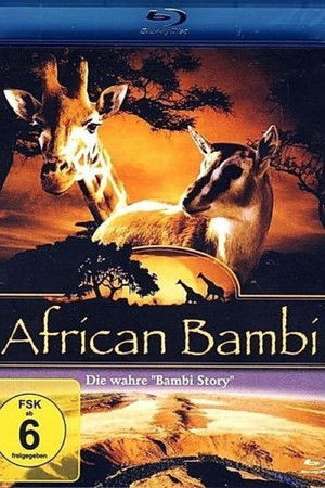 African Bambi African Bambi