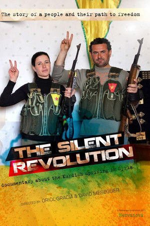 The Silent Revolution The Silent Revolution