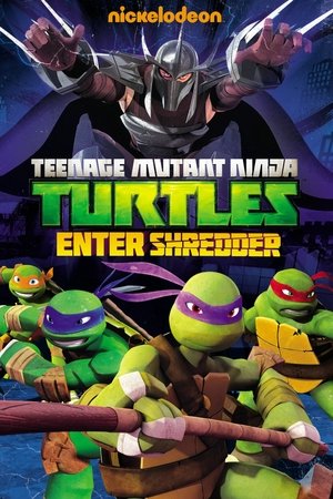 Teenage Mutant Ninja Turtles: Enter Shredder Teenage Mutant Ninja Turtles: Enter Shredder