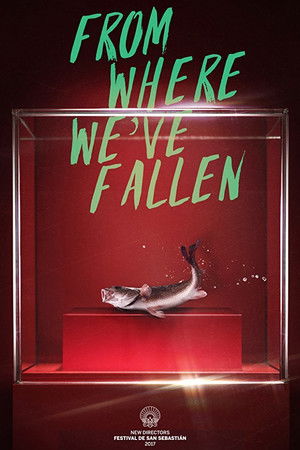 From Where We've Fallen From Where We've Fallen