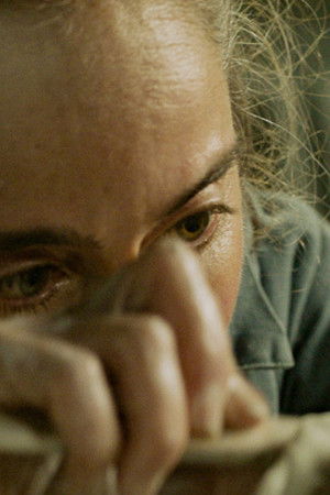 Chook Shed Chook Shed