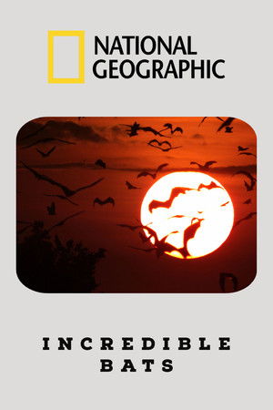Incredible Bats Incredible Bats