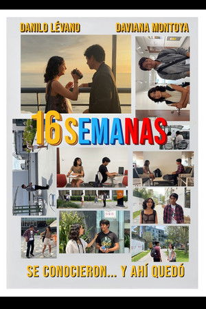 16 semanas 16 semanas