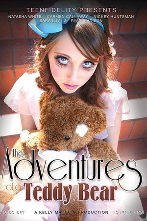 The Adventures of a Teddy Bear The Adventures of a Teddy Bear