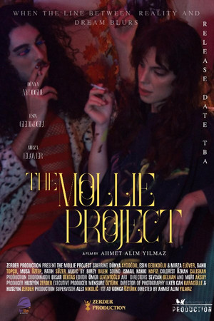 The Mollie Project The Mollie Project