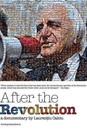 After the Revolution After the Revolution