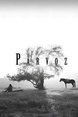 Parvoz Parvoz