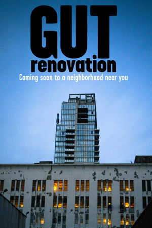 Gut Renovation Gut Renovation