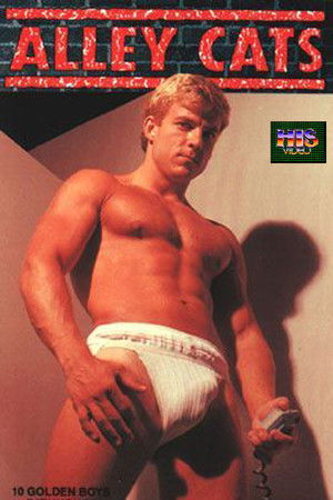 Alley Cats Alley Cats