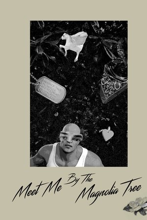 Meet Me By The Magnolia Tree