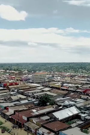 Allegation Allegation