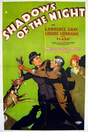 Shadows of the Night Shadows of the Night