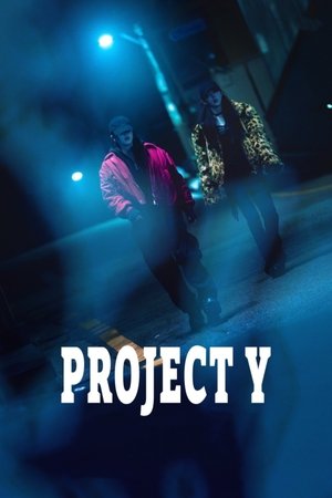 Project Y Project Y