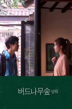 Willow Tree Forest Yangnim Willow Tree Forest Yangnim