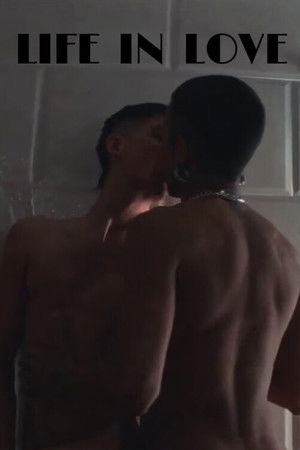 Life in Love Life in Love