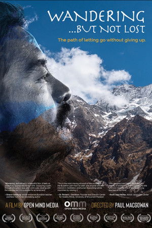 Wandering...But Not Lost Wandering...But Not Lost