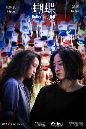 Butterflies Butterflies